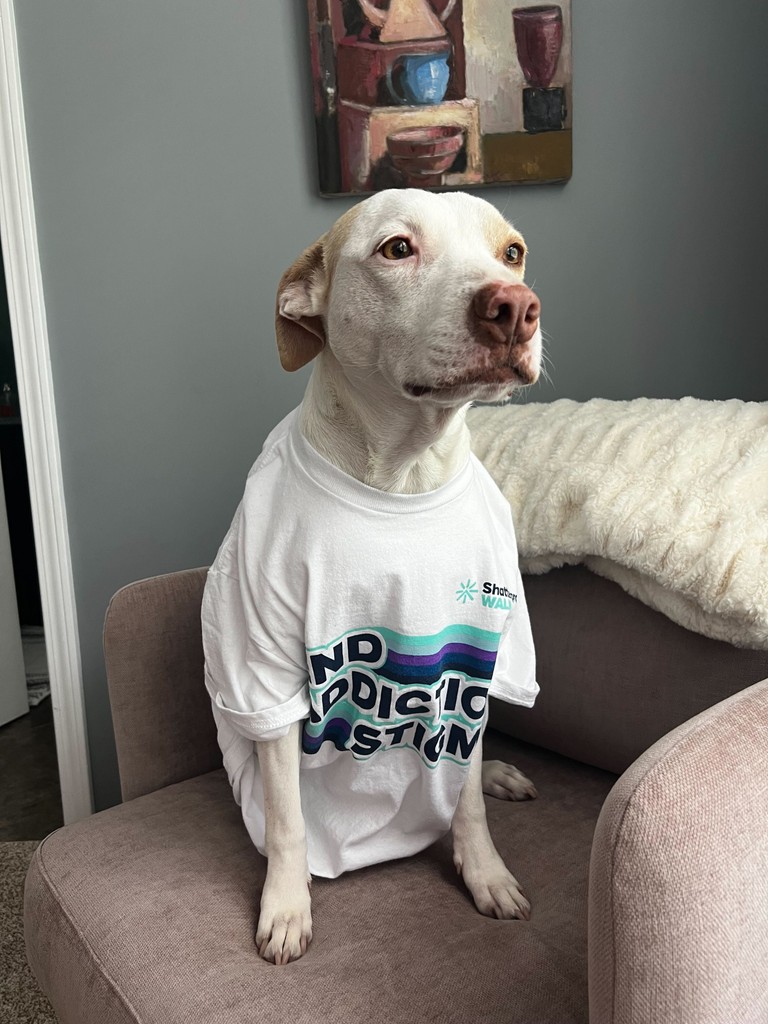ShatterproofHQ's tweet image. 🐾 It’s National Dog Day, and Lizzy wants you to help us end addiction stigma! 🐶💜 

Register here bit.ly/4csBpw0 and celebrate with us, free from shame or judgment. Let’s gather and make a difference together! 🌟 

#NationalDogDay #EndAddictionStigma