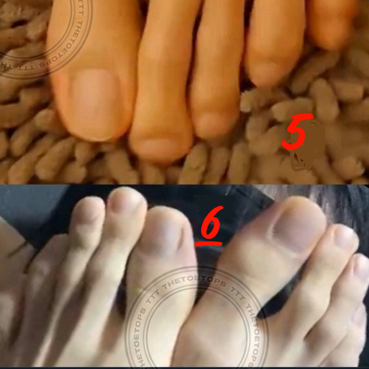 TheToeTops's tweet photo. VOTE: 5️⃣ or 6️⃣ ?
#TheToeTops #toetop #toetops #topsoffeet #topsofmalefeet #feet #feetfetish #footfetish #malefootfetish #malefeetfetish #malefeet #maletoenails #maletoenailtops #malebigtoe #prettymalefeet #prettymantoes #mantoes #malenailbedtops #maletoes https://t.co/u6NKfYN6S6