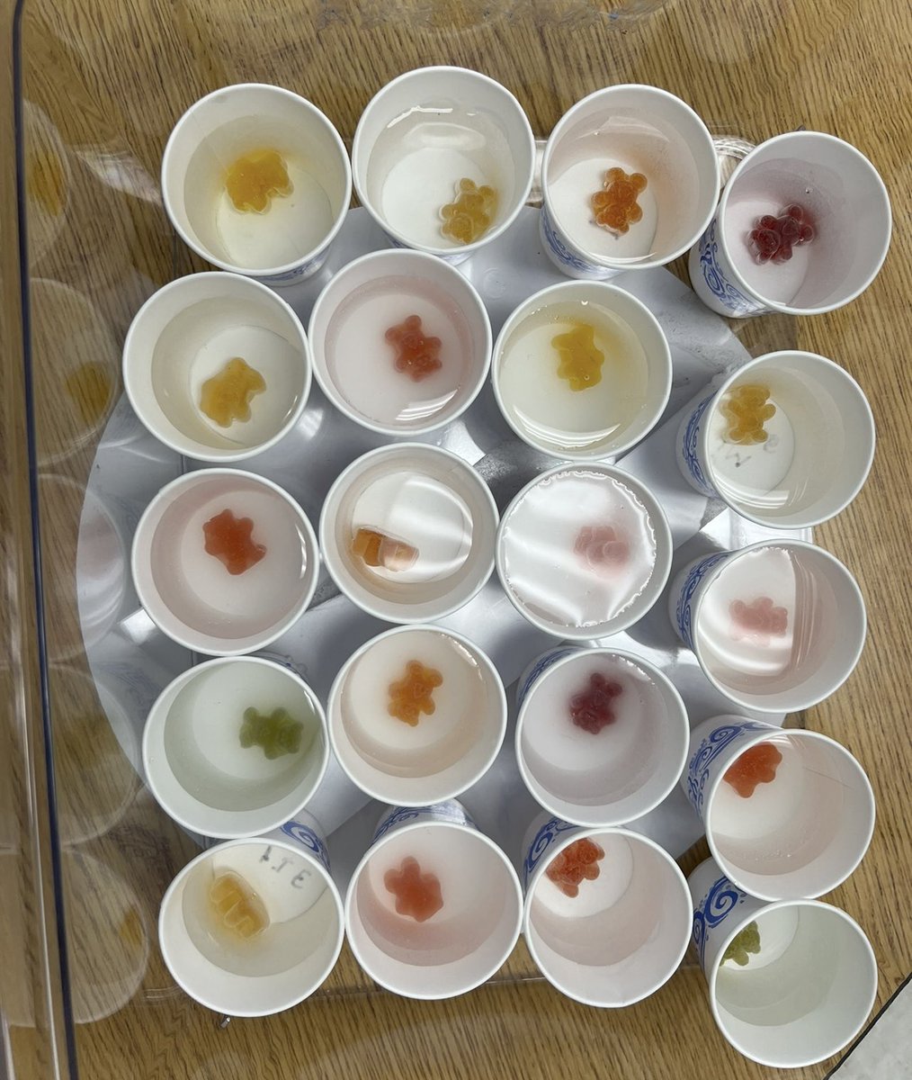 OdomOwls's tweet photo. Annual Gummy Bear experiment!
@MMPTurtles
#FunInFourth https://t.co/j4Bm5Ctsoq