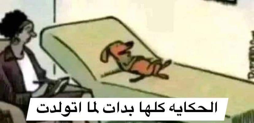 True Memes (@truememes_) on Twitter photo 