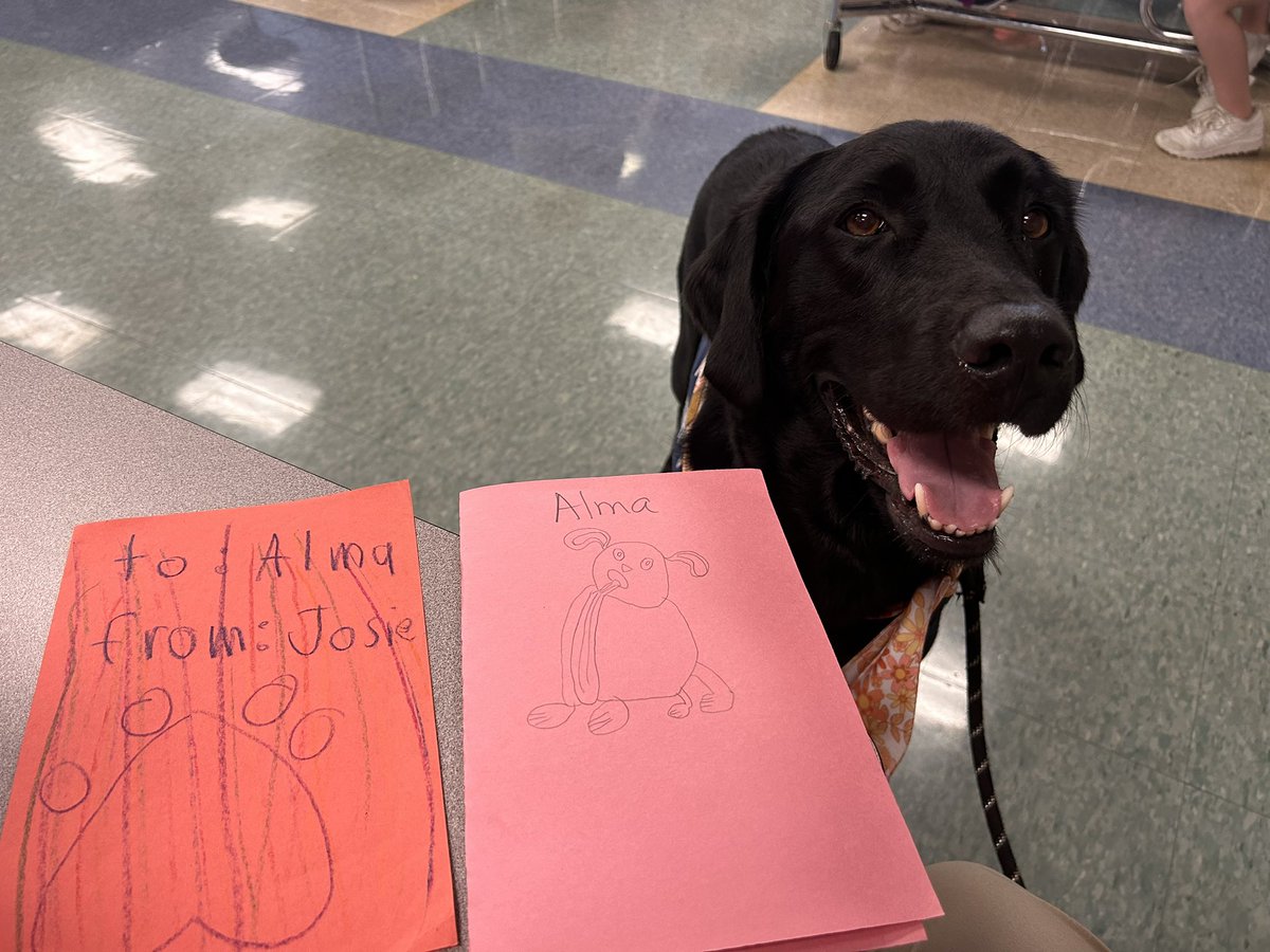 FSSDAlma's tweet photo. International Dog Day?!? MAC made me feel so spawcial today! They made me cards and LOTS of good, homemade treats!!! #fsd #fsdtherapydog #schooltherapydog #internationaldogday  #dogday https://t.co/qbMg8mkoor
