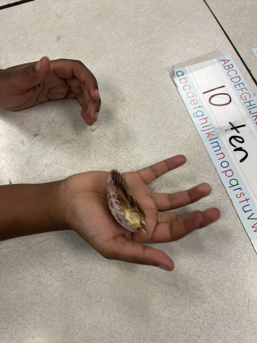 MsGloverK5's tweet photo. โHands-Onโ is my middle name!!! Me and these Huskies are always using manipulatives. #STEM #MathFam @hearnehusky https://t.co/JScf0xoBv3