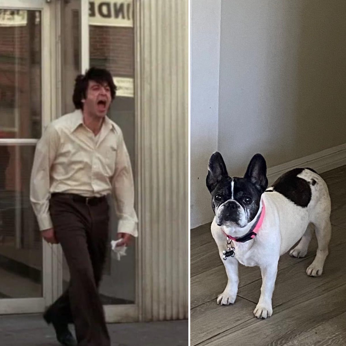 Keith Weesner tweet media