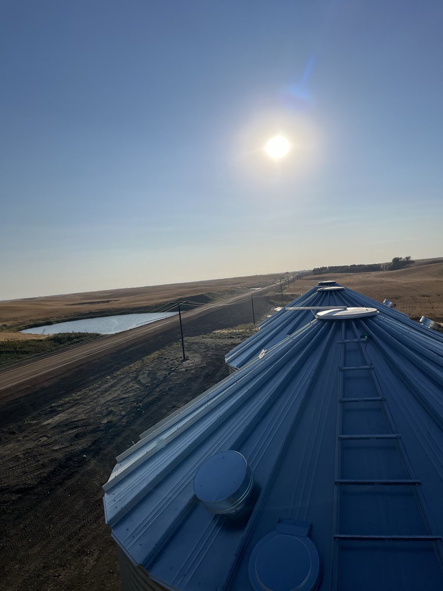 Its Bin Season. Do you have enough storage?