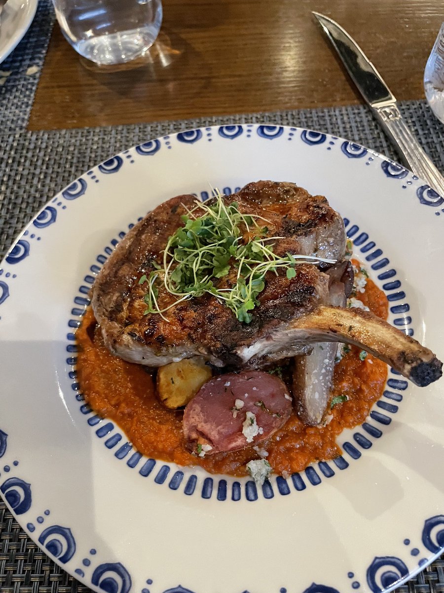 Gia Broken Spirit Horse🪶🟧🟦 tweet media