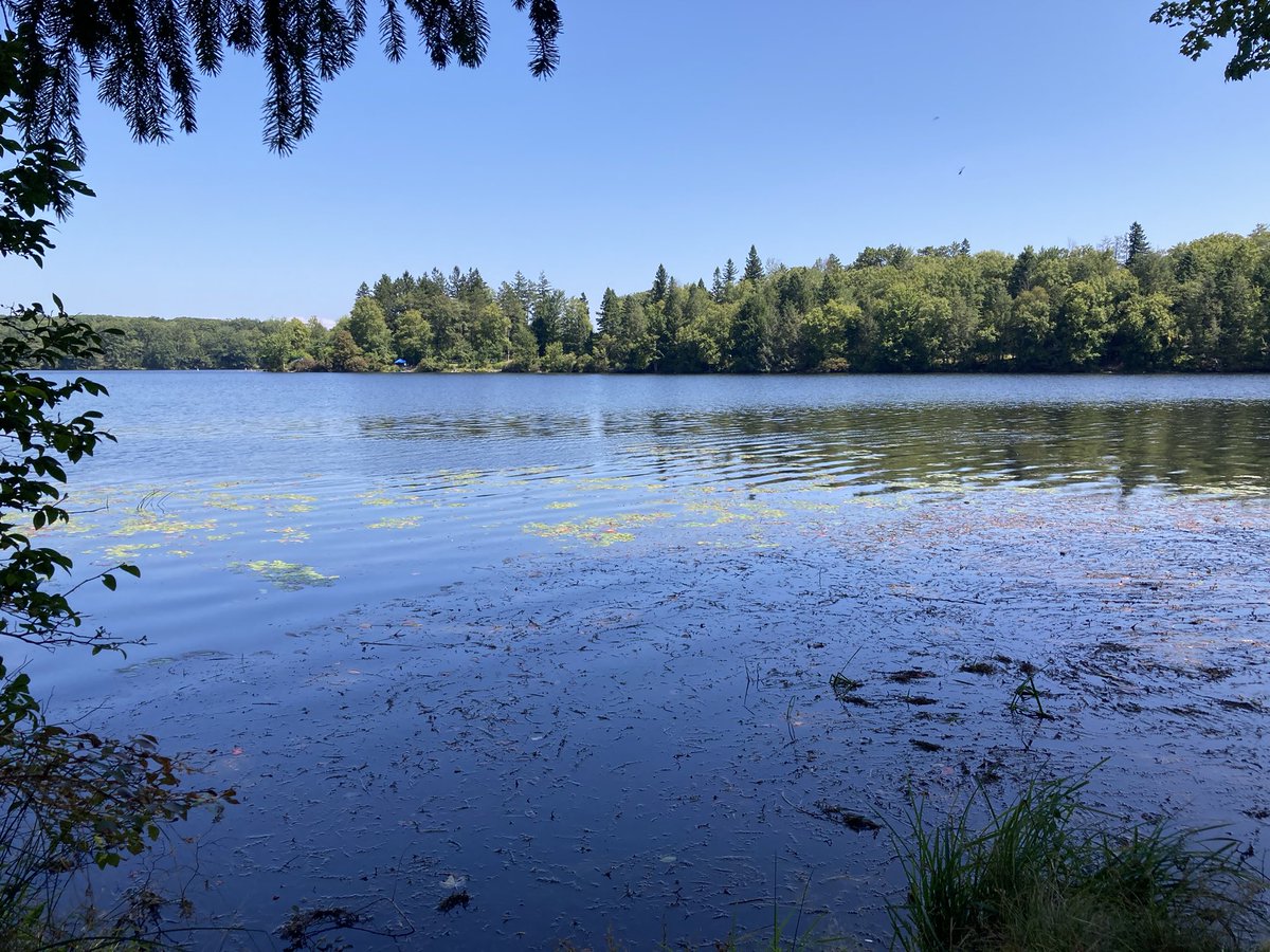 livewithmecfs's tweet photo. Enjoyed a walk on a little island today with views of the lake all around. Love being near the water. #nature365 #JoyinSummer https://t.co/C27Izz86p0