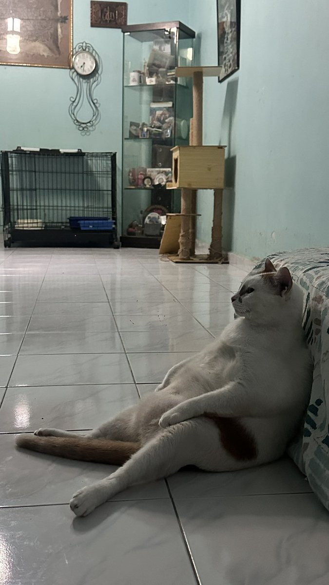APR1LBBY's tweet photo. cam bapak2 ambik angin https://t.co/SG4mUNUWyu