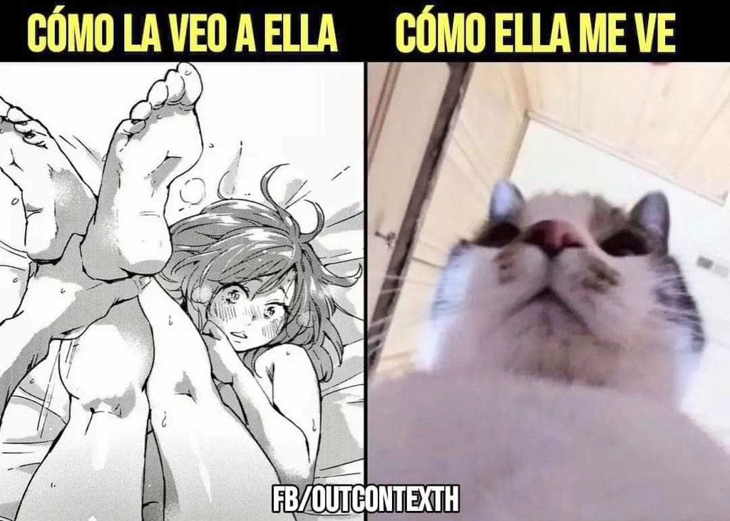 Gyenis21's tweet image. Xd