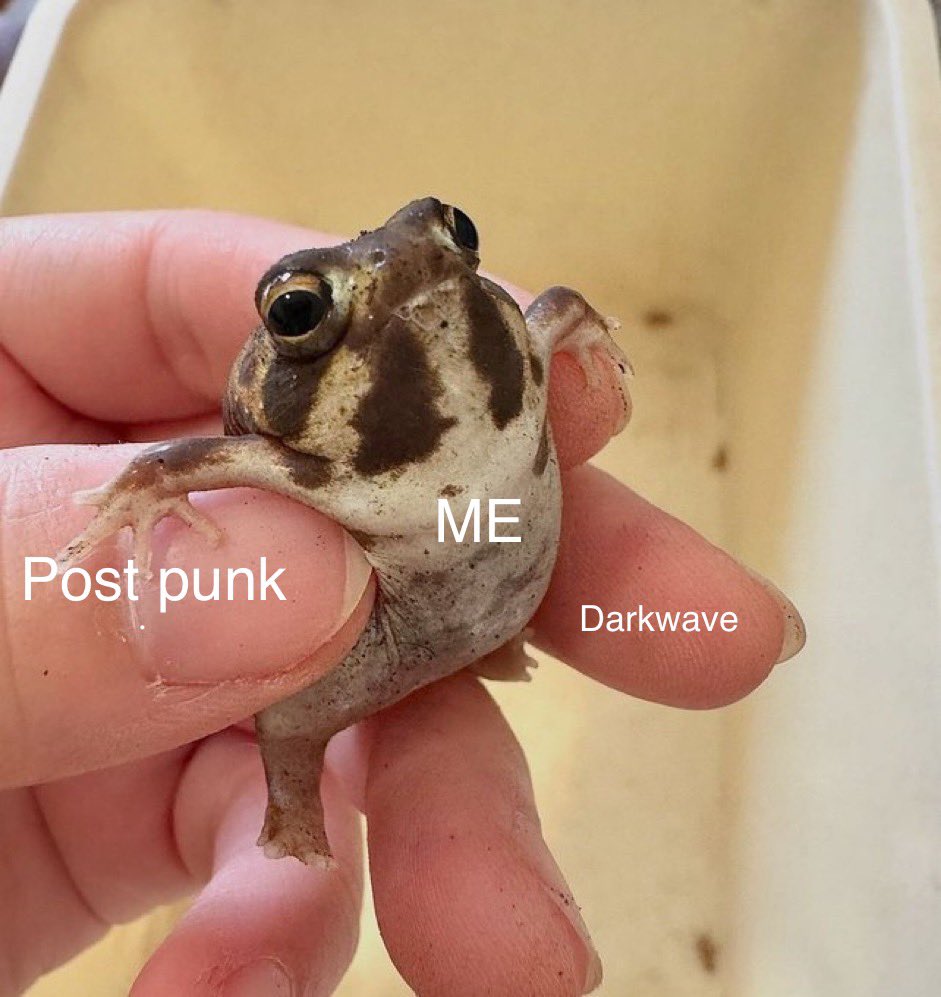 CryingCastlez's tweet image. 