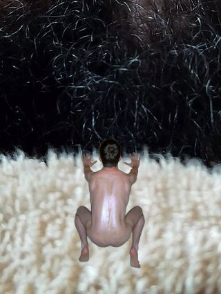 hairy_p_lover tweet media