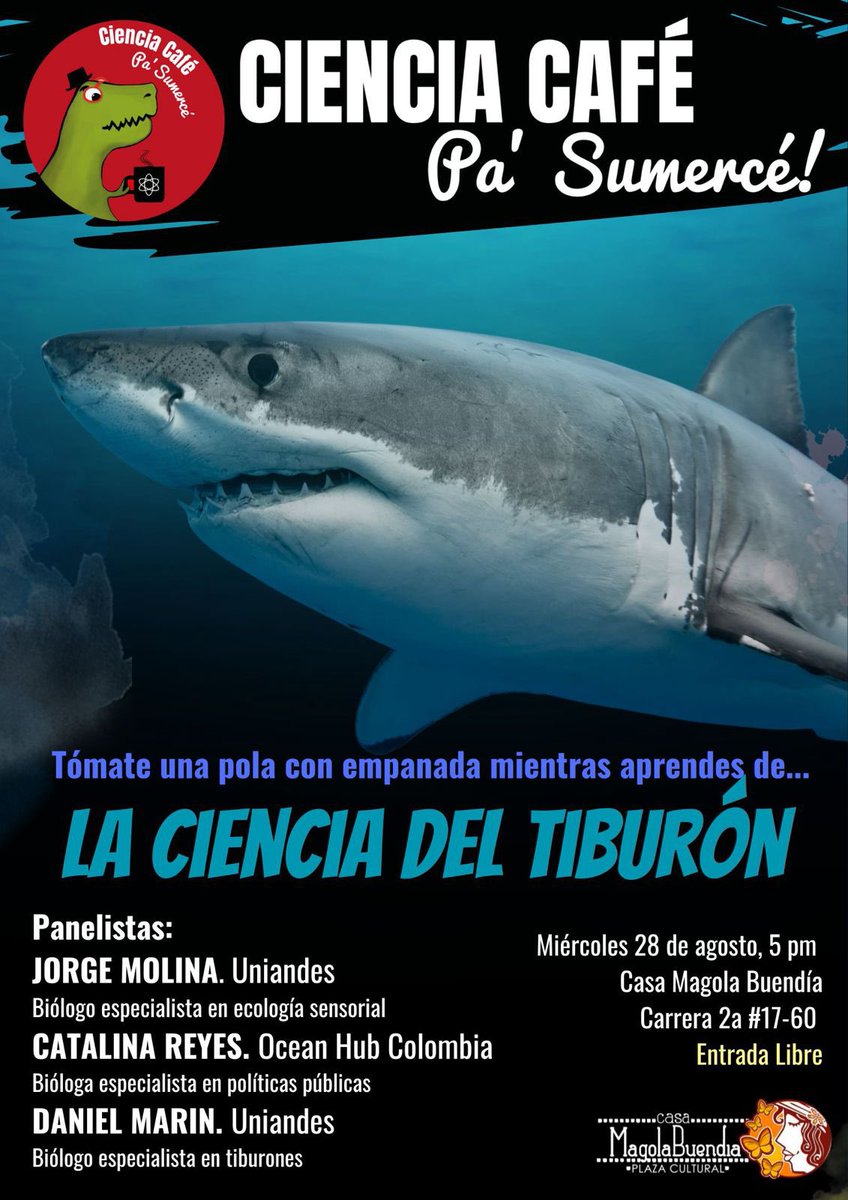 Ven y tómate una pola 🍺 este miércoles a las 5 pm, mientras escuchas especialistas hablando de tiburones y su ciencia, sus curiosidades, sus secretos. Entrada libre. Nos vemos en Casa Magola en Bogotá 🦈