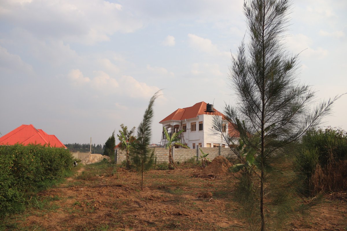 HerbertTushabe1's tweet photo. Good residential here at Rwebishuri. 2.5 kms  from bypass.
50x100ft is at 20m.( over 9 plots here).
Reach out for a free inspection 0777564588/0755282898 https://t.co/WIgVfHVL65