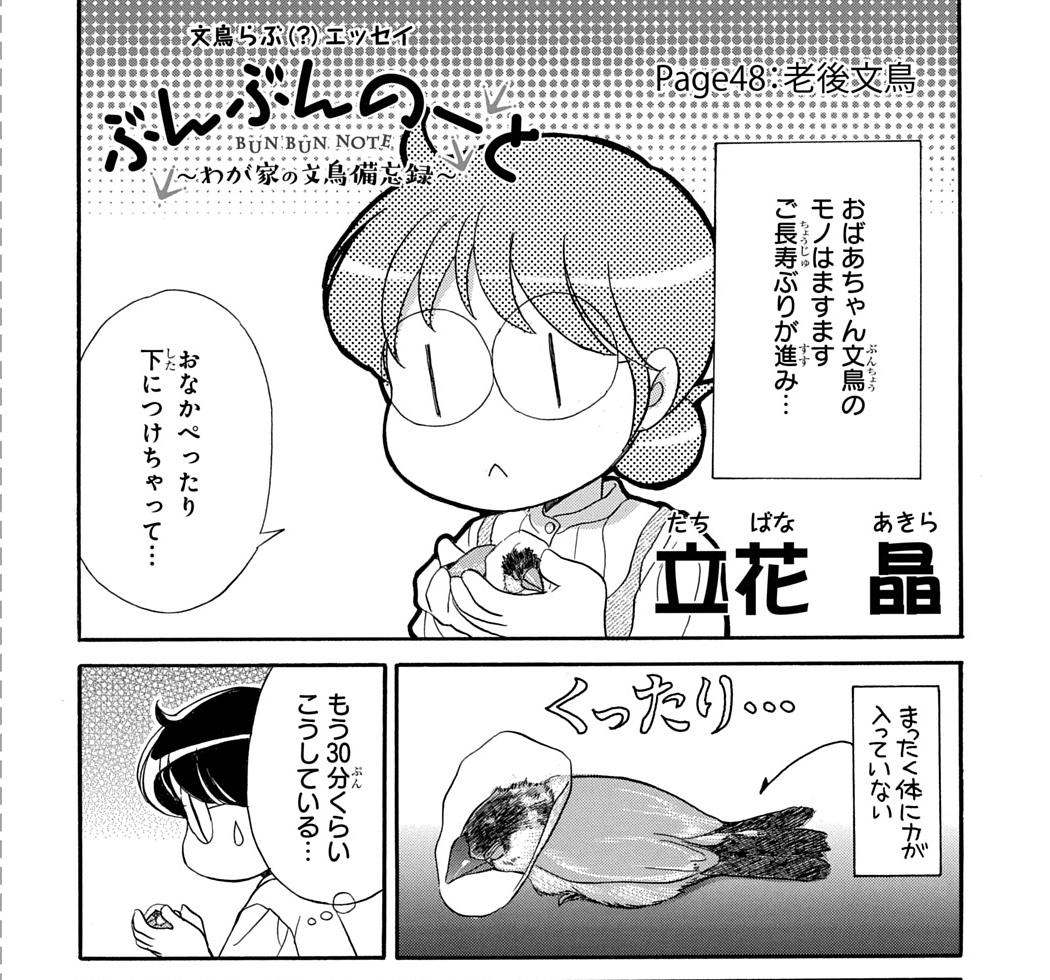【メロディ10月号大好評発売中!】#立花晶 先生「ぶんぶんのーと」文鳥・モノちゃんはくったり中でなんだか心配です。