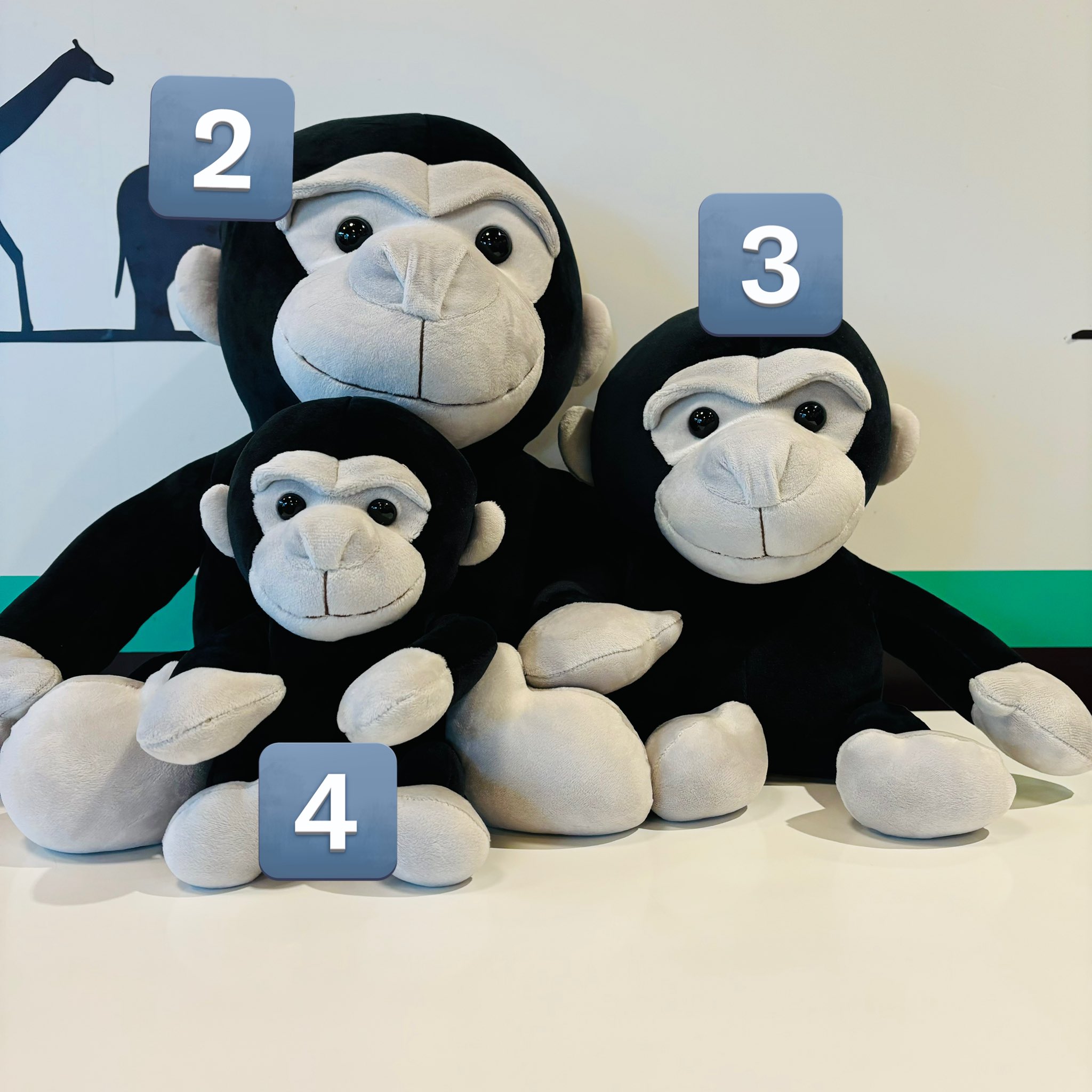 ぬいぐるみ動物園 盛岡市動物公園 ZOOMO on X: 