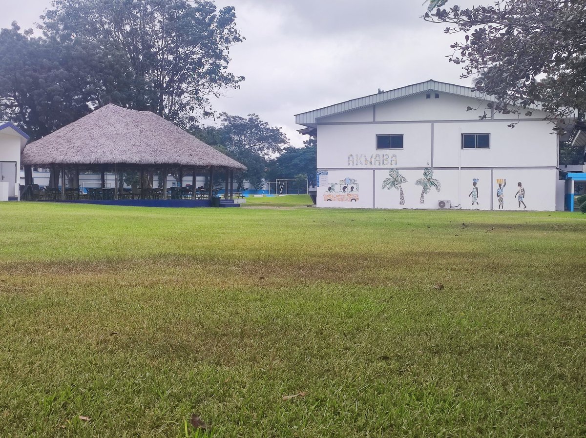 Leticia Cariño tweet media