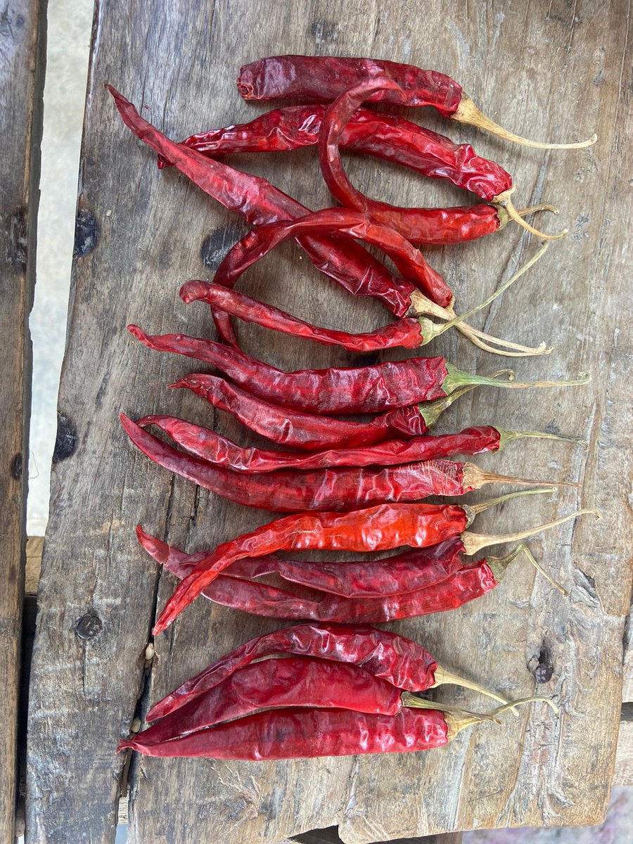 EXIMPURITY's tweet photo. Dry Red Chilli......

We are exporting all varieties of Indian Dry Red Chilli contact us, 

Mail- eximpurity@gmail.com 
WhatsApp- +916359951566
Website- https://t.co/NVcRt6Krnc

#Spices #Chilli #Spicy #IPM #Guntur #Pepper #Capsicum #Exporting #Exporter #Indianspice #eximpurity https://t.co/tZWkmzYOUS