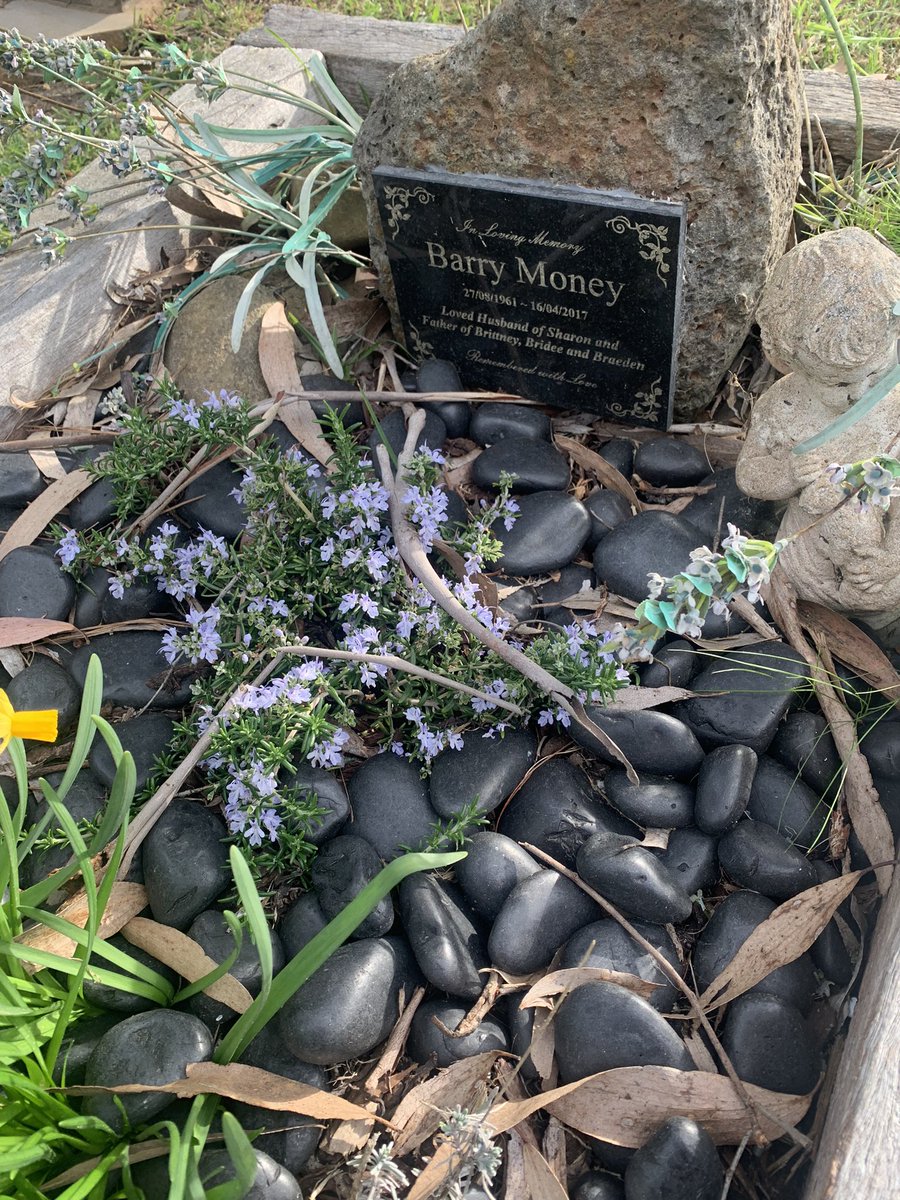 SharonSmoney's tweet photo. Just been to the Flinders cemetery and said Happy Birthday to Barry and told him Barrington Manor won https://t.co/EOte1Lh8TO