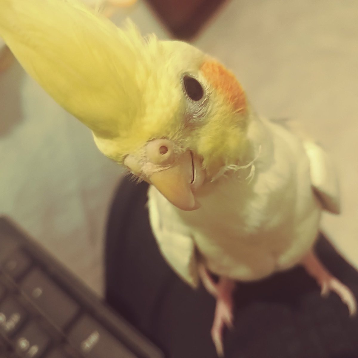 FallaOtraVez (@eaas34) on Twitter photo 