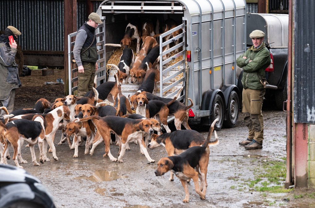 We know Btb is present in faeces, we know fox hounds eat fallen livestock, we know packs get Btb (Kimblewick). We know packs travel from farm to farm, county to county sh!tting as they go. They have absolutely no business on farmland if we're serious about tackling Btb.