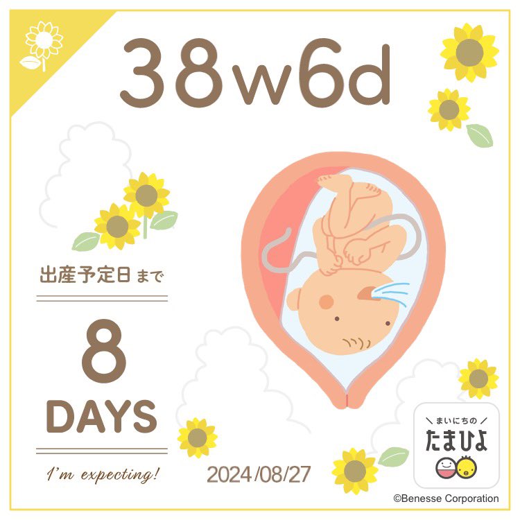 012845maron's tweet photo. 残すところ∞日(無限じゃ無くて8日)となりました☺️
今年はせっかくの20周年だけど、ライブには行けないかもです😭
落ち着いたらベビ連れて親子参戦してみたいなぁ https://t.co/J4WT5ltuci