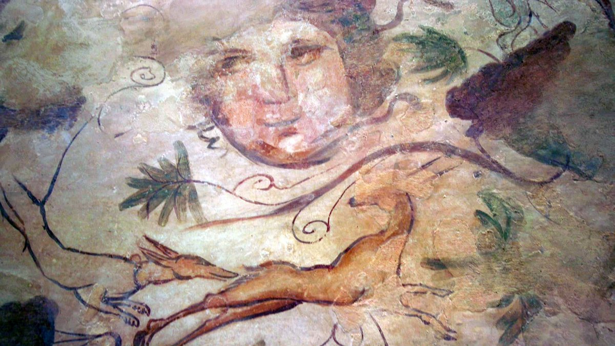 Incredible Roman-era wall paintings from Ashkelon are now being revealed for the first time! These stunning works of art, depicting Greek gods, myths, nature, and more, reveal fascinating insights into the lives and beliefs of the wealthy during the Roman period. #Ashkelon