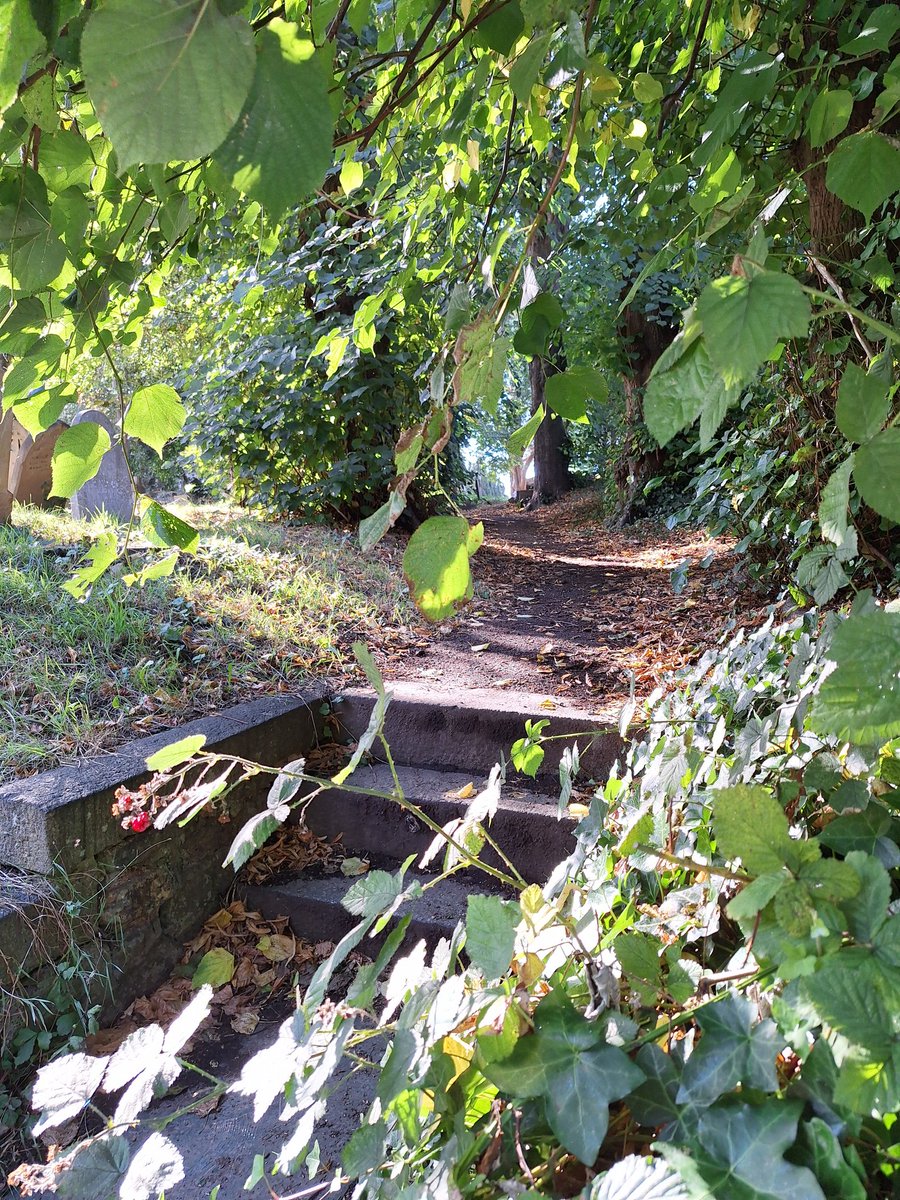 As I walk forward today, may I know...
God's power to guide me,
God's might to uphold me,
God's eyes to watch over me;
God's ear to hear me,
God's word to give me speech,
God's hand to guard me,
God's way to lie before me,
God's shield to shelter me,
God's host to secure me.