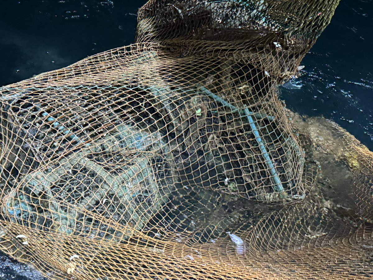 Another heap of old low impact gear..