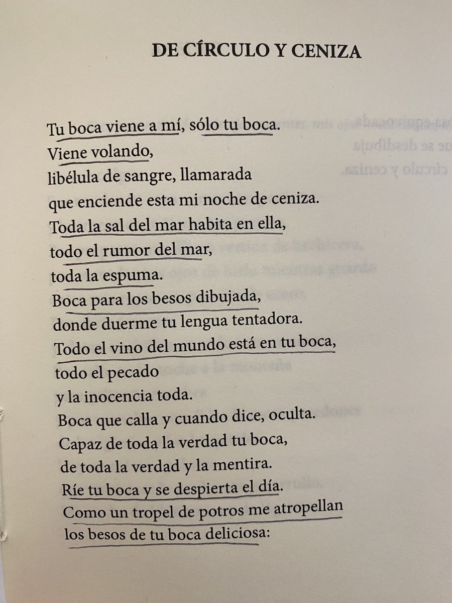 Juan David Laverde tweet media