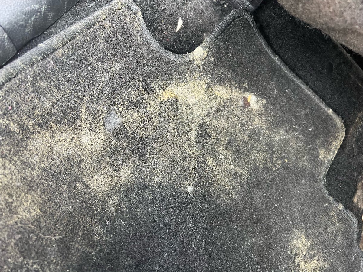 Nflnomore's tweet photo. @unc8689 @safelite Count yourself lucky.  I’m out $5,000 for the damages from their leaky windshield. My electronic info hub and radio had to be replaced,  Safelite’s response is they didn’t do it and they don’t guarantee leaks. https://t.co/J5bK8YNh5K