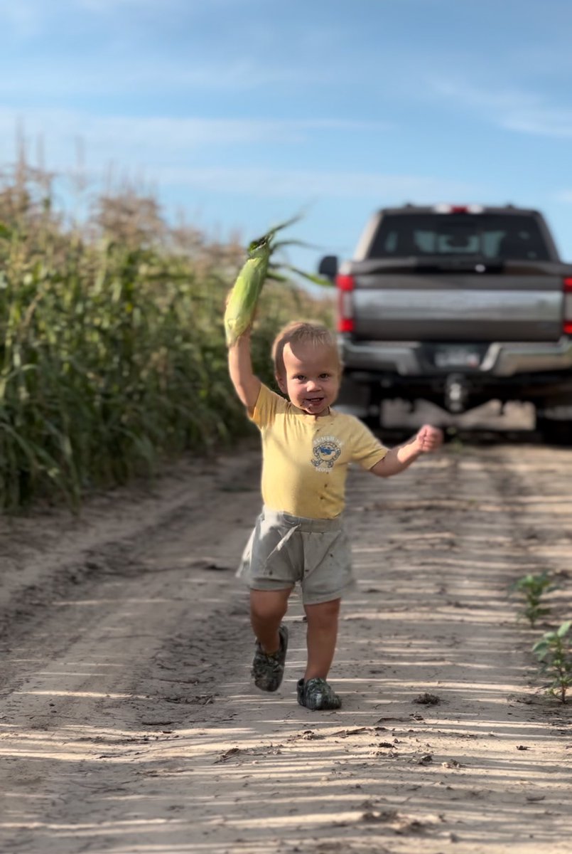 Ryan Fix tweet media