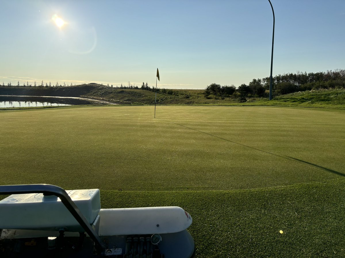 Mitch Davidson tweet media