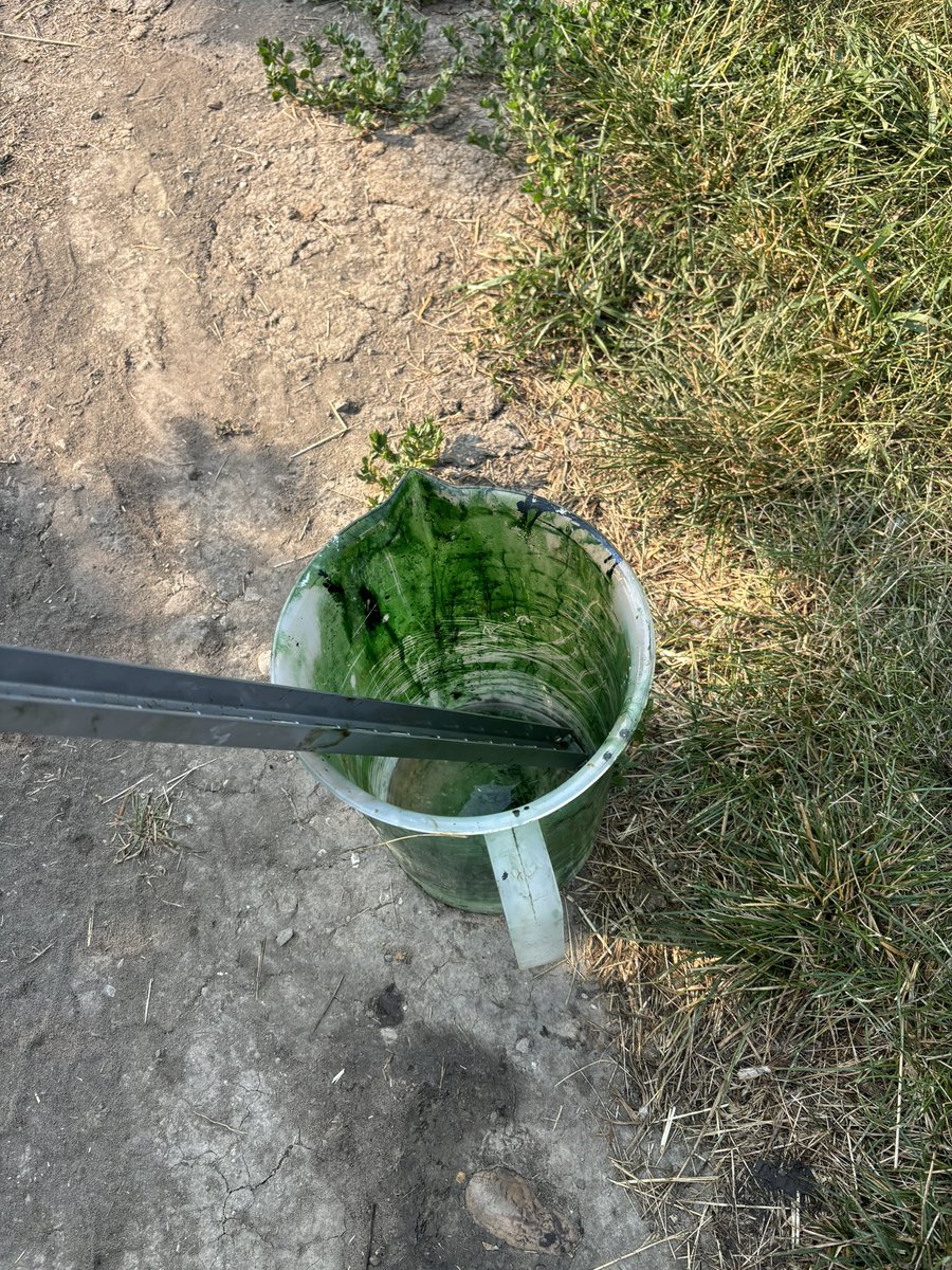 Mitch Davidson tweet media