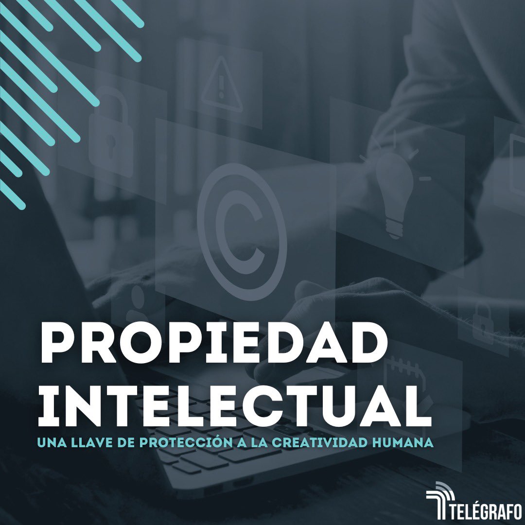 telegrafogt's tweet photo. La propiedad intelectual protege la creatividad y fomenta la innovación. 👨🏻‍💻💡 

En Centroamérica, las limitaciones legales dejan algunas creaciones vulnerables. 

Descubre más sobre su impacto y regulación en Guatemala en la columna de @marlenerz_ 

https://t.co/42moBIrvHG https://t.co/yLVOtFEPUO