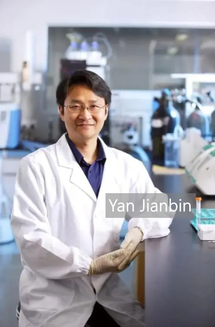 szdaily1's tweet photo. Three #professors from #Shenzhen are among the 49 young #scientists awarded the Sixth #XplorerPrize, as announced yesterday by the New Cornerstone Science Foundation. The winners from Shenzhen are Lu Haizhou and Tan Bin of @SUSTechSZ, and Yan Jianbin from the from the Agricultural Genomics Institute at Shenzhen, the Chinese Academy of Agricultural Sciences.
Lu, who joined SUSTech in 2015, specializes in #quantummechanics. He received a National Distinguished Young Scientists Fund grant in 2019 and won the Shenzhen Natural Science Award in 2020.
Tan, a tenured professor and associate dean at SUSTech, has published over 60 papers in fields like chiral #chemistry and cooperative catalysis.
Yan, a researcher at the Agricultural Genomics Institute, has authored more than 30 papers in journals including Nature. His research deals with plant hormones and secondary metabolism, which is vital for #medicine and #agriculture.
Established in 2018, the Xplorer Prize supports young scientists under 45 in critical scientific fields. Each year, 50 scientists are selected, receiving 3 million yuan over five years. #science #awards