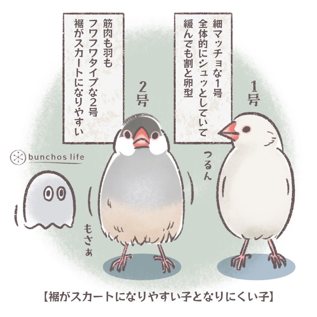 今日も時間の関係で4コマ漫画お休みします💦イラストのみで
2号はフォルムが緩みやすいのでよく裾がスカートになるのとても可愛い(つるんな1号も可愛いヨ) 
