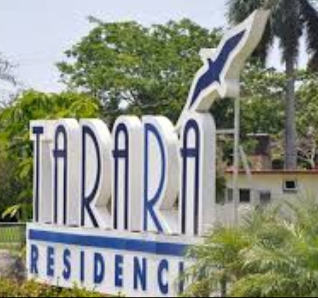 Por la calle va un conejo, muy echado para atrás, y sonando en su corneta...🎵