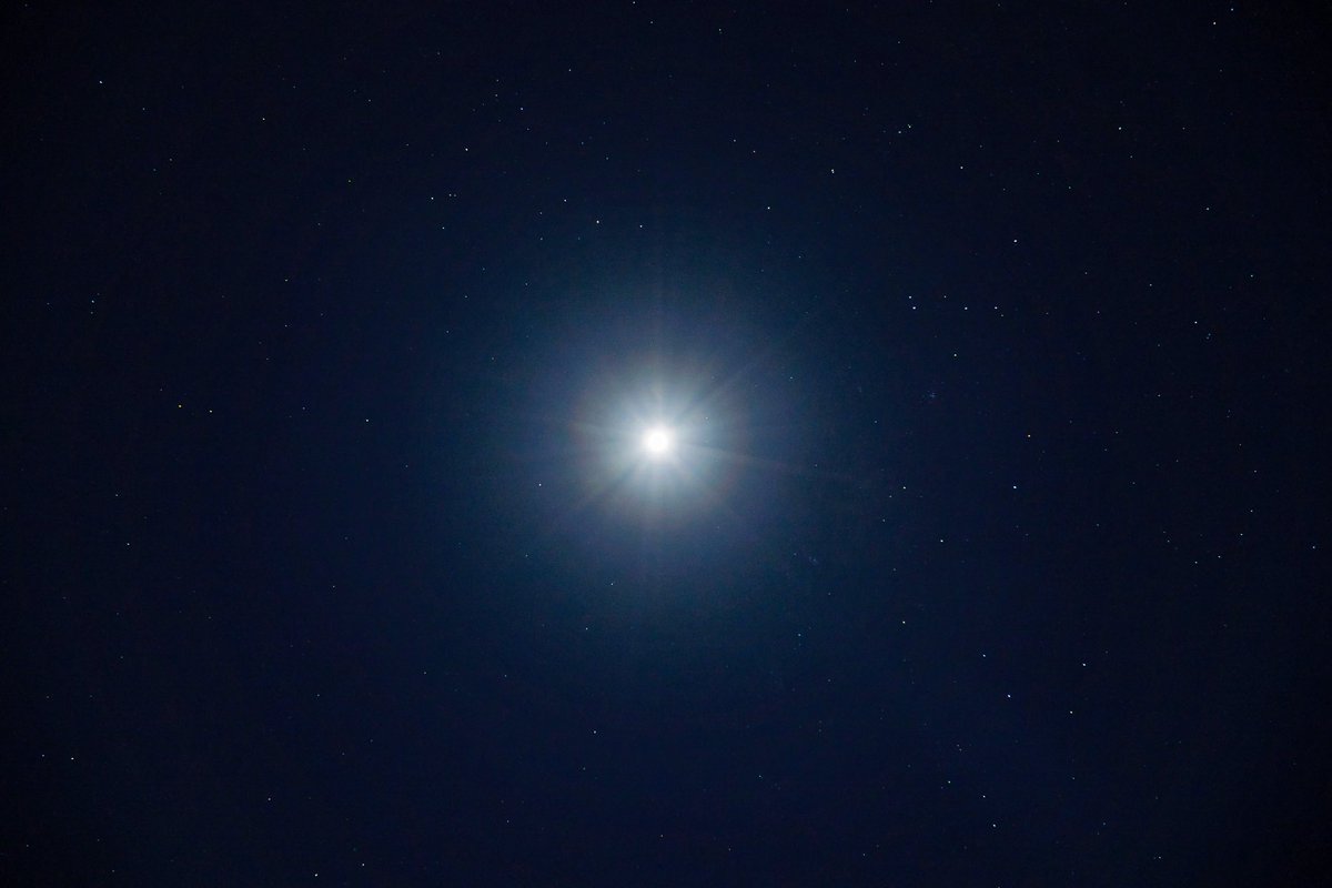 GLSpro's tweet photo. Esta es la estrella doble #Sirius que siempre quiero retratar, porque es una de las más brillantes del cielo nocturno.
@WilliamOptics #Zenithstar81D #iRxos100v2 #explorescientific #Nina #AstroFoto💫 #SanLuisArgentina https://t.co/LDv3AuA9aH