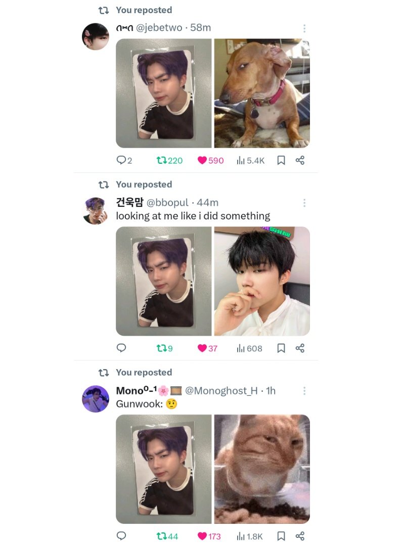 ahh yes the three types of gunwook. cat, dog, and gunwook