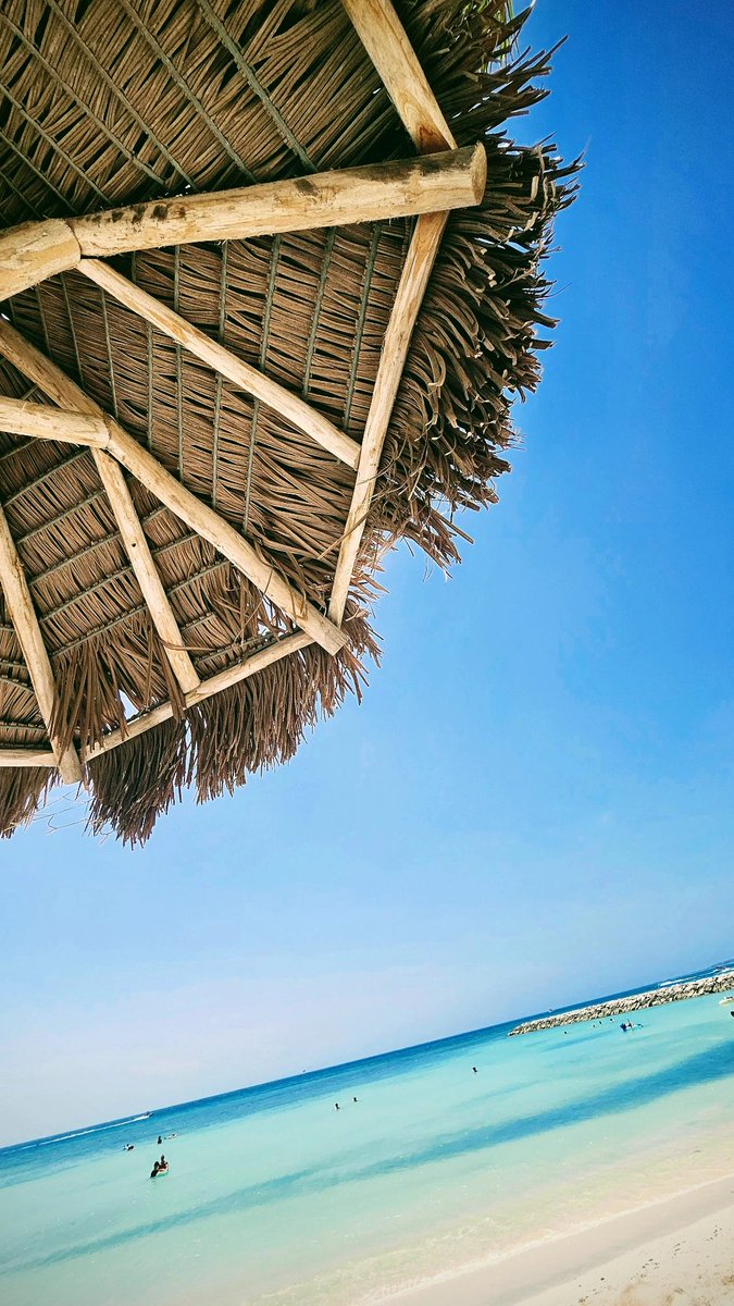 MattZoop's tweet image. Missing Paradise #Aruba #diviarubaphoenix