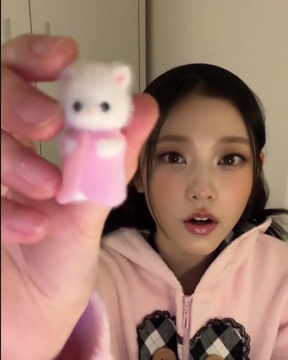 haerinfeed's tweet photo. haerin’s sylvanian collection ✿ https://t.co/uQUyRg3Wct