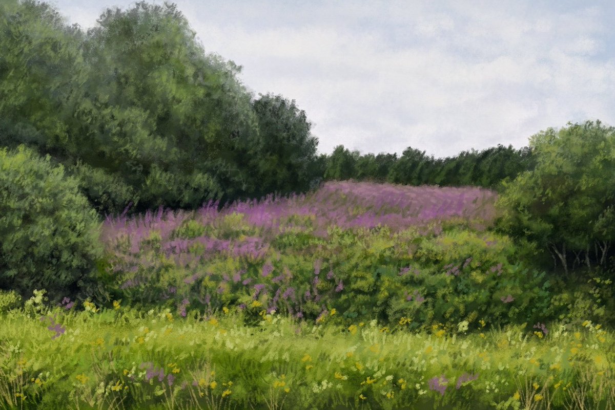 HijoyRG's tweet image. If you see this post your green art 🌿