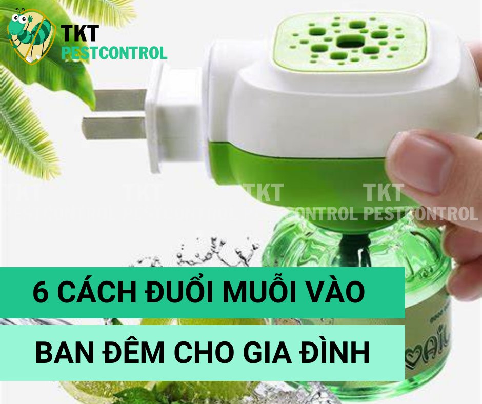 6 Cách đuổi muỗi vào ban đêm cho gia đình dlvr.it/TCQ9rb