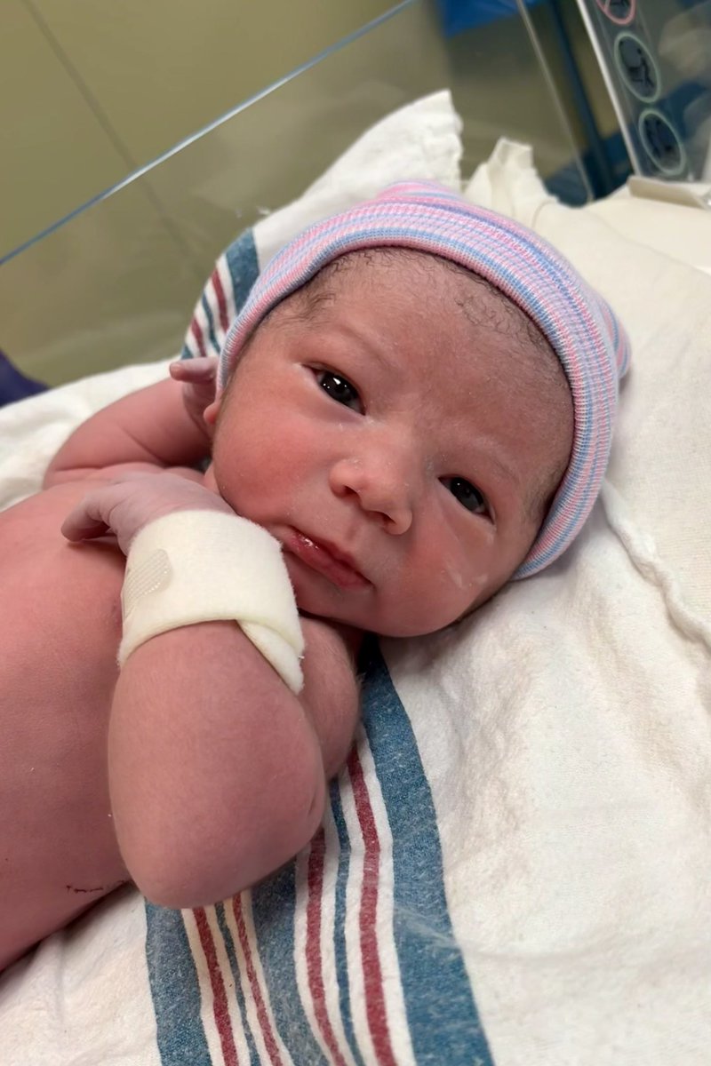 Mr. Arellano tweet media