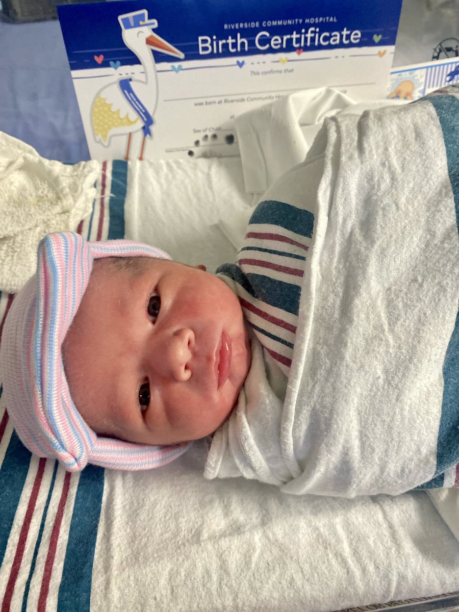 Mr. Arellano tweet media