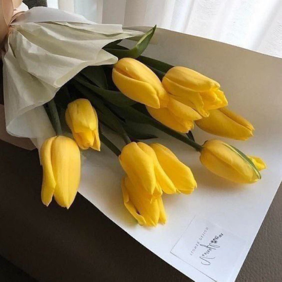 ً لمحبي الورد الأصفر  طاب صباحـكم 💛