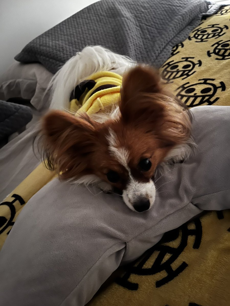 jamisnotfound's tweet image. eu me derreto d+ por esse carinha