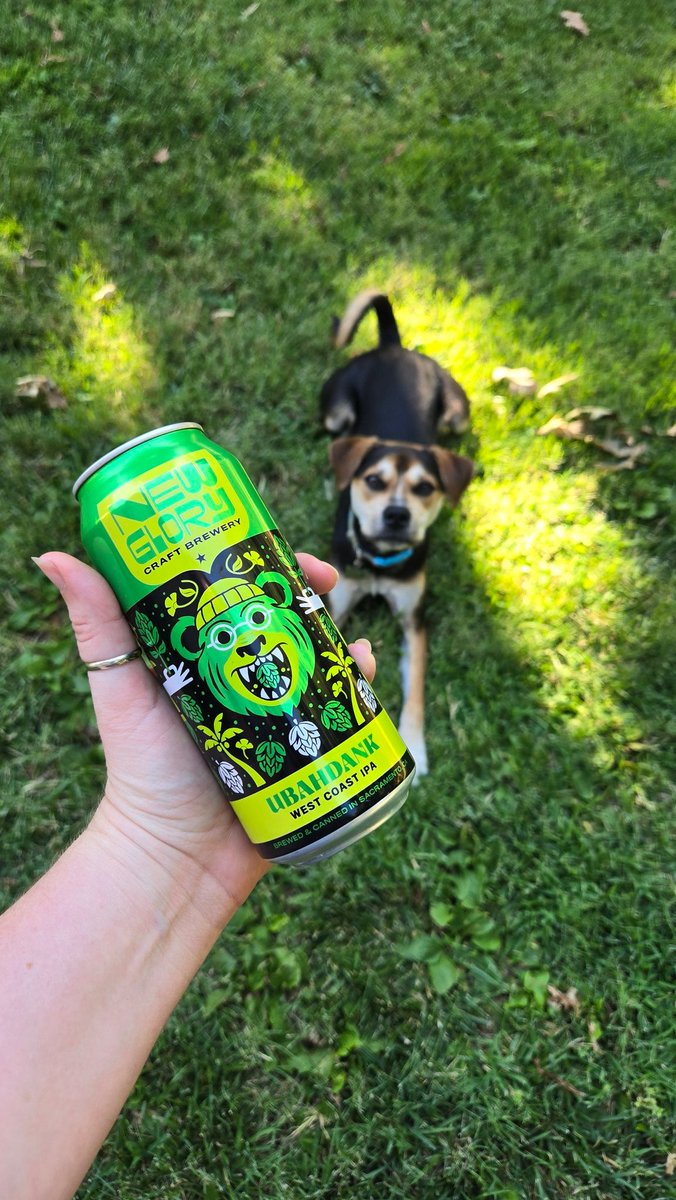 NewGloryBrewery's tweet image. 💚You didn't think we forgot about NATIONAL DOG DAY, did you? What's your favorite beer to drink with your best fur friend? 🐶🐾🍻

#nationaldogday #brewdogs #brewerydog #dogsandbeer #newglory #sacbeer #sacbeers #sacramento #doggo