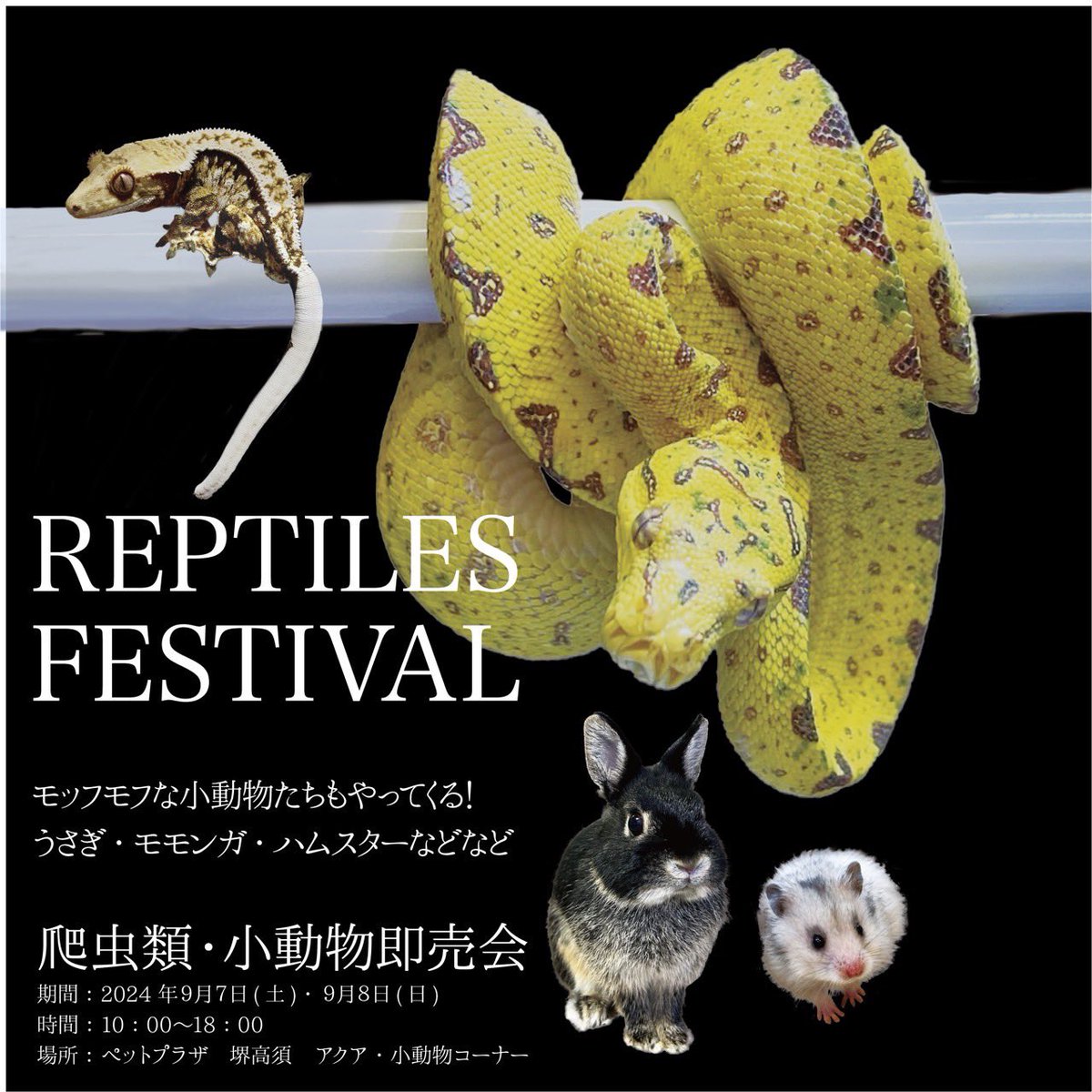 レプタイルズフェスティバル【レプフェス】 (@Gpcevent) / Posts / X