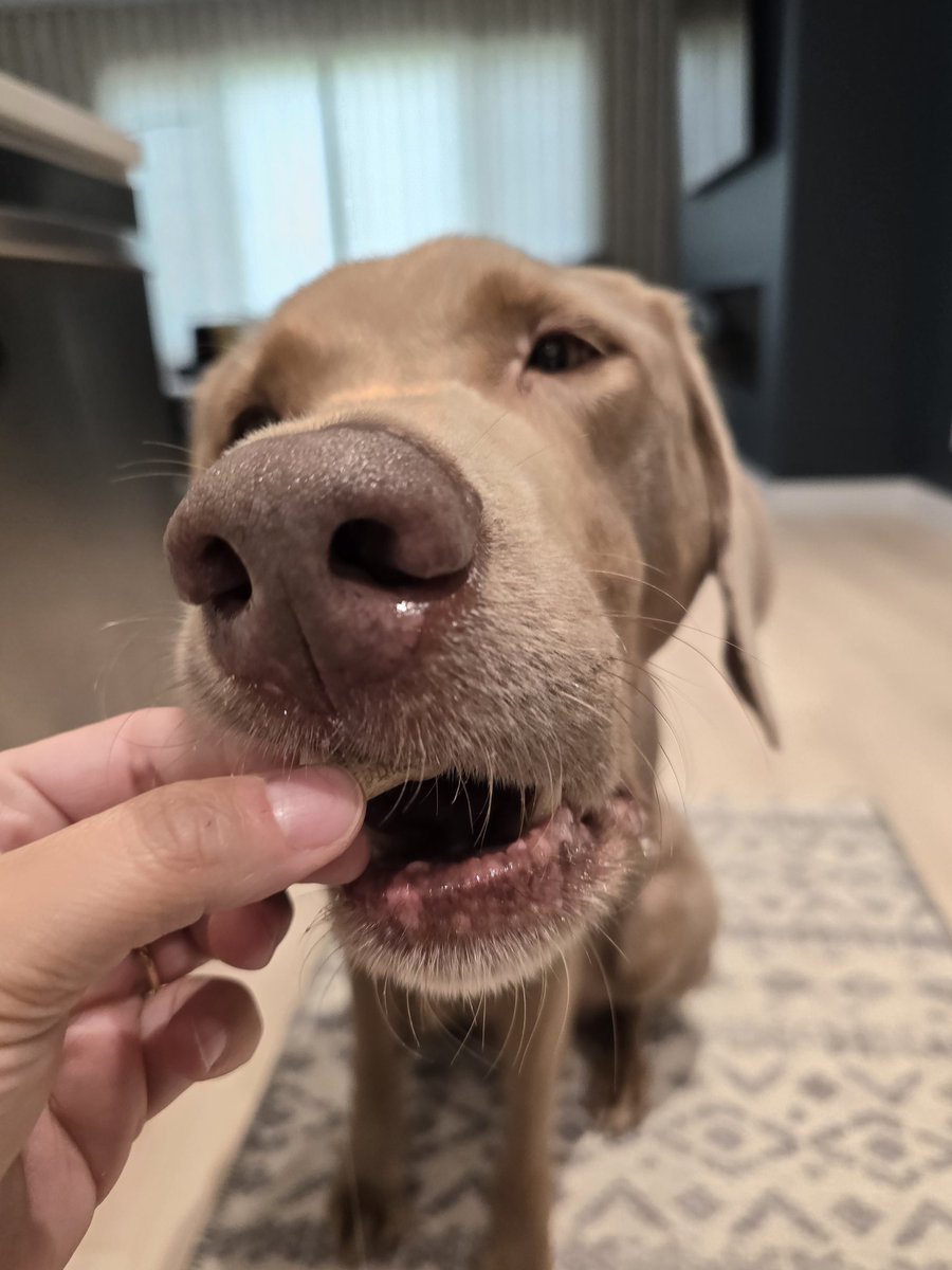 Jackie Connell tweet media