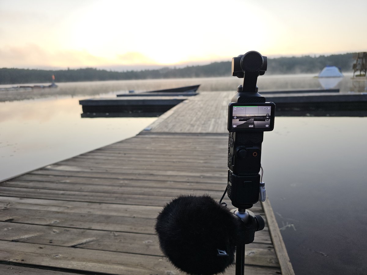 ArcticSkyWolf on YouTube tweet media